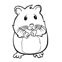 Rodent coloring page