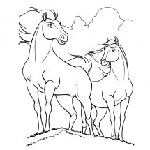 Coloriage Couple de chevaux