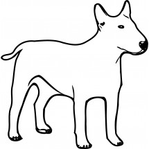 Coloriage Bull terrier