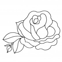 Coloriage Rose