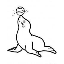 Coloriage Sea lion and his ball
