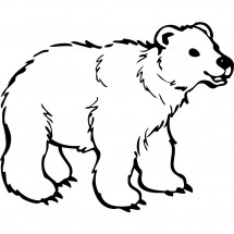 Polar bear #2 coloring