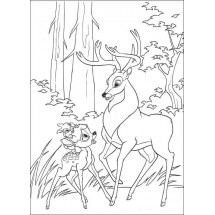 Coloriage Bambi, Thumper and the Great Prince of the Forest