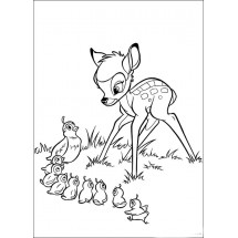Bambi and birds coloring