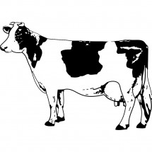 Coloriage Cow #2