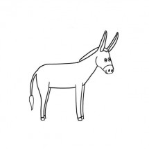 Donkey coloring
