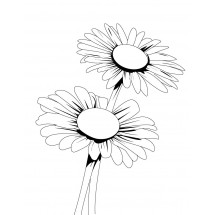 Coloriage Daisies
