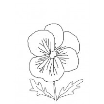 Coloriage Pansy