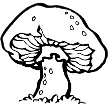 Coloriage Mushroom