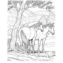 Horses in the forest coloring