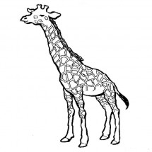 Coloriage Giraffe