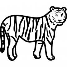 Tiger coloring
