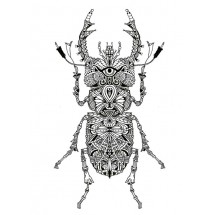 Beetle Mandala coloring