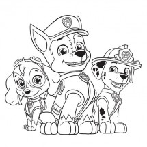 Coloriage Skye, Chase and Marshall