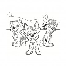 Coloriage Everest, Tracker and Marshall