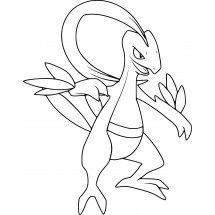 Pokémon Grovyle coloring page