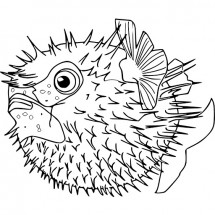 Coloriage Moonfish
