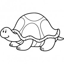 Coloriage Turtle