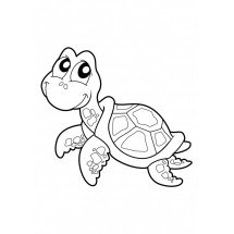 Cute turtle coloring