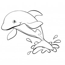 Coloriage Dolphin in full jump
